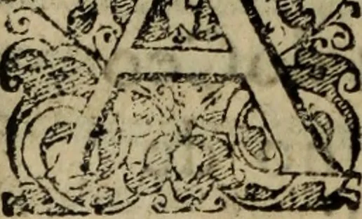 An illustration from Historia do insigne apparecimento de N. Senhora da Luz, & suas obras marauilhosas, 1610, leaf 11