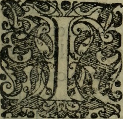 An illustration from Historia do insigne apparecimento de N. Senhora da Luz, & suas obras marauilhosas, 1610, leaf 24