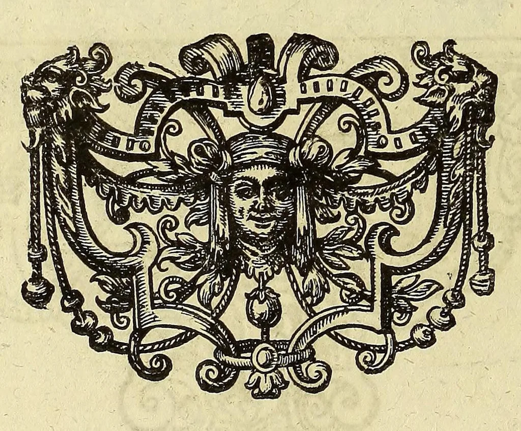 An illustration from Historiae antipodum, siue Novi orbis, qui vulgo Americae, & Indiae Occidentalis nomine vsurpatur, pars tertia, : Complectens admirandam cum ipsius terrae Brasiliae, tum incolarum eius barbarorum & antropophagorum historiam libris tribus descriptam: Quorum I. Primo continetur narratio profectionis Ioannis Stadij Hessi in Brasiliam, qui à barbaris interceptus, nouemque menses inter eos versatus est, II. Diegesis historica naturam coeli solique Brasiliensis, vt & auiam, ferarum, piscium, arborum item caeterorumq[ue] vegetabilium illius terrae experimens. III. Luculientissima descriptio itineris Iohannis Lerij Burgundi, quod in easdem terras suscepit., 1630, leaf 110