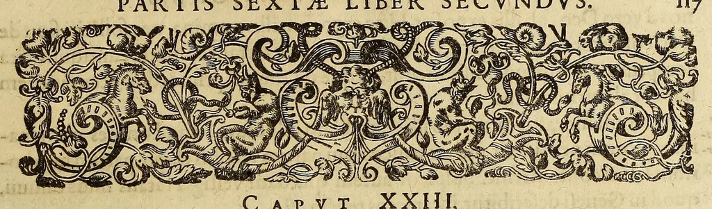 An illustration from Historiae antipodum, siue Novi orbis, qui vulgo Americae, & Indiae Occidentalis nomine vsurpatur, pars tertia, : Complectens admirandam cum ipsius terrae Brasiliae, tum incolarum eius barbarorum & antropophagorum historiam libris tribus descriptam: Quorum I. Primo continetur narratio profectionis Ioannis Stadij Hessi in Brasiliam, qui à barbaris interceptus, nouemque menses inter eos versatus est, II. Diegesis historica naturam coeli solique Brasiliensis, vt & auiam, ferarum, piscium, arborum item caeterorumq[ue] vegetabilium illius terrae experimens. III. Luculientissima descriptio itineris Iohannis Lerij Burgundi, quod in easdem terras suscepit., 1630, leaf 135