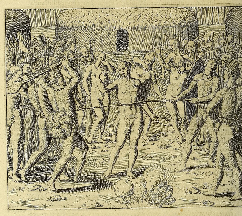 An illustration from Historiae antipodum, siue Novi orbis, qui vulgo Americae, & Indiae Occidentalis nomine vsurpatur, pars tertia, : Complectens admirandam cum ipsius terrae Brasiliae, tum incolarum eius barbarorum & antropophagorum historiam libris tribus descriptam: Quorum I. Primo continetur narratio profectionis Ioannis Stadij Hessi in Brasiliam, qui à barbaris interceptus, nouemque menses inter eos versatus est, II. Diegesis historica naturam coeli solique Brasiliensis, vt & auiam, ferarum, piscium, arborum item caeterorumq[ue] vegetabilium illius terrae experimens. III. Luculientissima descriptio itineris Iohannis Lerij Burgundi, quod in easdem terras suscepit., 1630, leaf 230