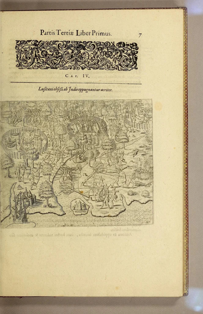 An illustration from Historiae antipodum, siue Novi orbis, qui vulgo Americae, & Indiae Occidentalis nomine vsurpatur, pars tertia, : Complectens admirandam cum ipsius terrae Brasiliae, tum incolarum eius barbarorum & antropophagorum historiam libris tribus descriptam: Quorum I. Primo continetur narratio profectionis Ioannis Stadij Hessi in Brasiliam, qui à barbaris interceptus, nouemque menses inter eos versatus est, II. Diegesis historica naturam coeli solique Brasiliensis, vt & auiam, ferarum, piscium, arborum item caeterorumq[ue] vegetabilium illius terrae experimens. III. Luculientissima descriptio itineris Iohannis Lerij Burgundi, quod in easdem terras suscepit., 1630, leaf 25