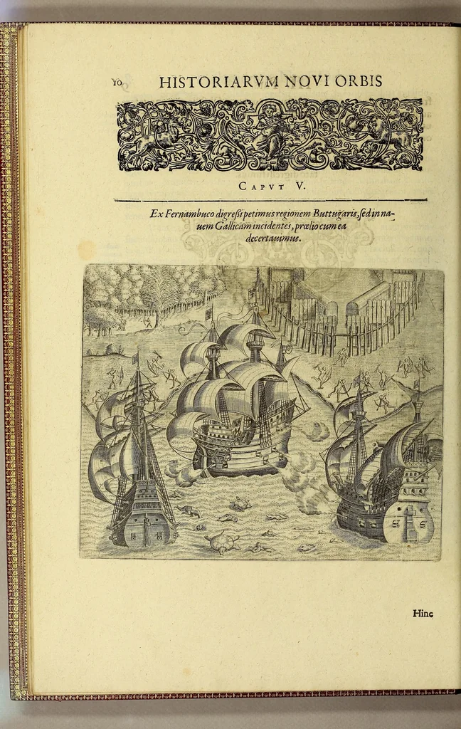 An illustration from Historiae antipodum, siue Novi orbis, qui vulgo Americae, & Indiae Occidentalis nomine vsurpatur, pars tertia, : Complectens admirandam cum ipsius terrae Brasiliae, tum incolarum eius barbarorum & antropophagorum historiam libris tribus descriptam: Quorum I. Primo continetur narratio profectionis Ioannis Stadij Hessi in Brasiliam, qui à barbaris interceptus, nouemque menses inter eos versatus est, II. Diegesis historica naturam coeli solique Brasiliensis, vt & auiam, ferarum, piscium, arborum item caeterorumq[ue] vegetabilium illius terrae experimens. III. Luculientissima descriptio itineris Iohannis Lerij Burgundi, quod in easdem terras suscepit., 1630, leaf 28