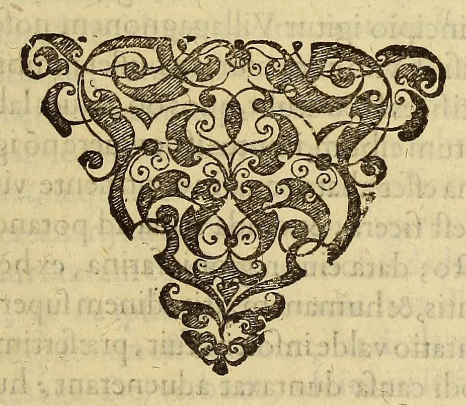 An illustration from Historiae antipodum, siue Novi orbis, qui vulgo Americae, & Indiae Occidentalis nomine vsurpatur, pars tertia, : Complectens admirandam cum ipsius terrae Brasiliae, tum incolarum eius barbarorum & antropophagorum historiam libris tribus descriptam: Quorum I. Primo continetur narratio profectionis Ioannis Stadij Hessi in Brasiliam, qui à barbaris interceptus, nouemque menses inter eos versatus est, II. Diegesis historica naturam coeli solique Brasiliensis, vt & auiam, ferarum, piscium, arborum item caeterorumq[ue] vegetabilium illius terrae experimens. III. Luculientissima descriptio itineris Iohannis Lerij Burgundi, quod in easdem terras suscepit., 1630, leaf 309
