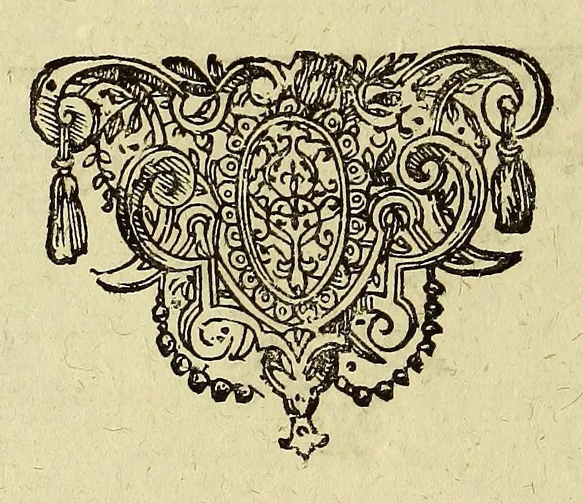 An illustration from Historiae antipodum, siue Novi orbis, qui vulgo Americae, & Indiae Occidentalis nomine vsurpatur, pars tertia, : Complectens admirandam cum ipsius terrae Brasiliae, tum incolarum eius barbarorum & antropophagorum historiam libris tribus descriptam: Quorum I. Primo continetur narratio profectionis Ioannis Stadij Hessi in Brasiliam, qui à barbaris interceptus, nouemque menses inter eos versatus est, II. Diegesis historica naturam coeli solique Brasiliensis, vt & auiam, ferarum, piscium, arborum item caeterorumq[ue] vegetabilium illius terrae experimens. III. Luculientissima descriptio itineris Iohannis Lerij Burgundi, quod in easdem terras suscepit., 1630, leaf 46