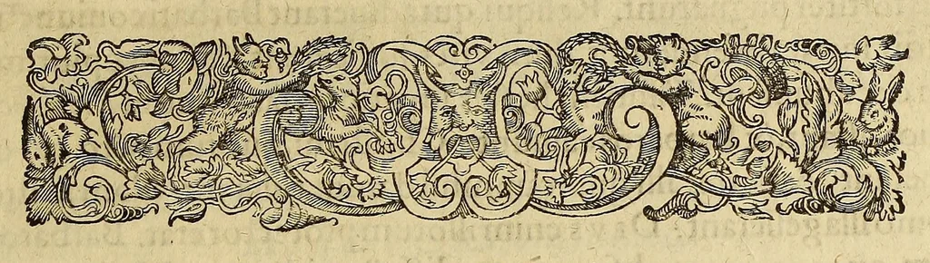 An illustration from Historiae antipodum, siue Novi orbis, qui vulgo Americae, & Indiae Occidentalis nomine vsurpatur, pars tertia, : Complectens admirandam cum ipsius terrae Brasiliae, tum incolarum eius barbarorum & antropophagorum historiam libris tribus descriptam: Quorum I. Primo continetur narratio profectionis Ioannis Stadij Hessi in Brasiliam, qui à barbaris interceptus, nouemque menses inter eos versatus est, II. Diegesis historica naturam coeli solique Brasiliensis, vt & auiam, ferarum, piscium, arborum item caeterorumq[ue] vegetabilium illius terrae experimens. III. Luculientissima descriptio itineris Iohannis Lerij Burgundi, quod in easdem terras suscepit., 1630, leaf 47