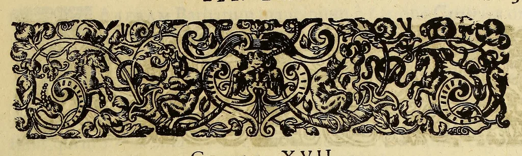 An illustration from Historiae antipodum, siue Novi orbis, qui vulgo Americae, & Indiae Occidentalis nomine vsurpatur, pars tertia, : Complectens admirandam cum ipsius terrae Brasiliae, tum incolarum eius barbarorum & antropophagorum historiam libris tribus descriptam: Quorum I. Primo continetur narratio profectionis Ioannis Stadij Hessi in Brasiliam, qui à barbaris interceptus, nouemque menses inter eos versatus est, II. Diegesis historica naturam coeli solique Brasiliensis, vt & auiam, ferarum, piscium, arborum item caeterorumq[ue] vegetabilium illius terrae experimens. III. Luculientissima descriptio itineris Iohannis Lerij Burgundi, quod in easdem terras suscepit., 1630, leaf 51