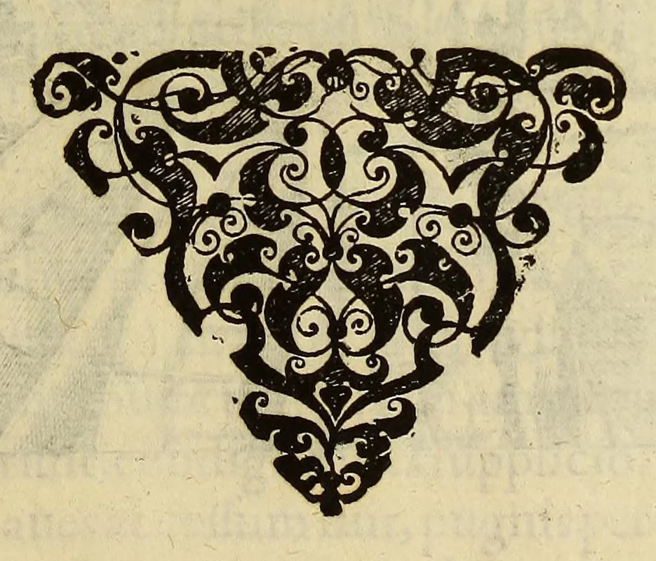 An illustration from Historiae antipodum, siue Novi orbis, qui vulgo Americae, & Indiae Occidentalis nomine vsurpatur, pars tertia, : Complectens admirandam cum ipsius terrae Brasiliae, tum incolarum eius barbarorum & antropophagorum historiam libris tribus descriptam: Quorum I. Primo continetur narratio profectionis Ioannis Stadij Hessi in Brasiliam, qui à barbaris interceptus, nouemque menses inter eos versatus est, II. Diegesis historica naturam coeli solique Brasiliensis, vt & auiam, ferarum, piscium, arborum item caeterorumq[ue] vegetabilium illius terrae experimens. III. Luculientissima descriptio itineris Iohannis Lerij Burgundi, quod in easdem terras suscepit., 1630, leaf 51