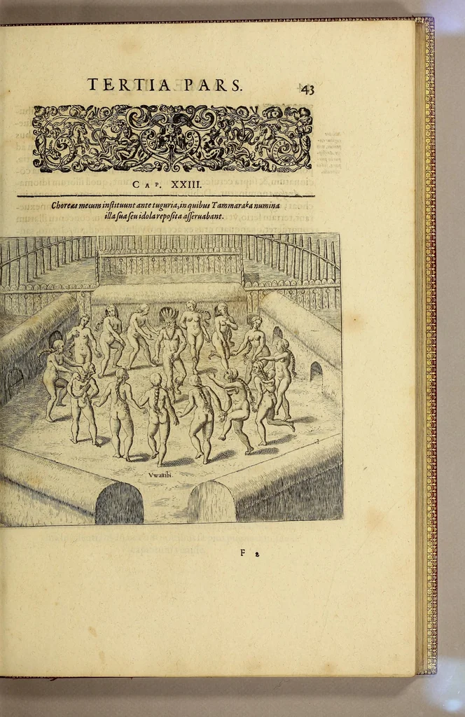 An illustration from Historiae antipodum, siue Novi orbis, qui vulgo Americae, & Indiae Occidentalis nomine vsurpatur, pars tertia, : Complectens admirandam cum ipsius terrae Brasiliae, tum incolarum eius barbarorum & antropophagorum historiam libris tribus descriptam: Quorum I. Primo continetur narratio profectionis Ioannis Stadij Hessi in Brasiliam, qui à barbaris interceptus, nouemque menses inter eos versatus est, II. Diegesis historica naturam coeli solique Brasiliensis, vt & auiam, ferarum, piscium, arborum item caeterorumq[ue] vegetabilium illius terrae experimens. III. Luculientissima descriptio itineris Iohannis Lerij Burgundi, quod in easdem terras suscepit., 1630, leaf 61