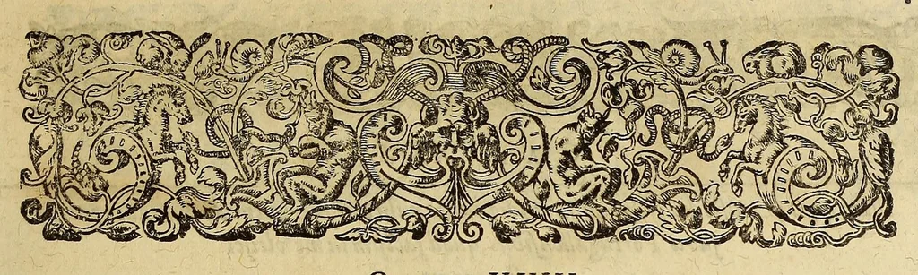 An illustration from Historiae antipodum, siue Novi orbis, qui vulgo Americae, & Indiae Occidentalis nomine vsurpatur, pars tertia, : Complectens admirandam cum ipsius terrae Brasiliae, tum incolarum eius barbarorum & antropophagorum historiam libris tribus descriptam: Quorum I. Primo continetur narratio profectionis Ioannis Stadij Hessi in Brasiliam, qui à barbaris interceptus, nouemque menses inter eos versatus est, II. Diegesis historica naturam coeli solique Brasiliensis, vt & auiam, ferarum, piscium, arborum item caeterorumq[ue] vegetabilium illius terrae experimens. III. Luculientissima descriptio itineris Iohannis Lerij Burgundi, quod in easdem terras suscepit., 1630, leaf 63