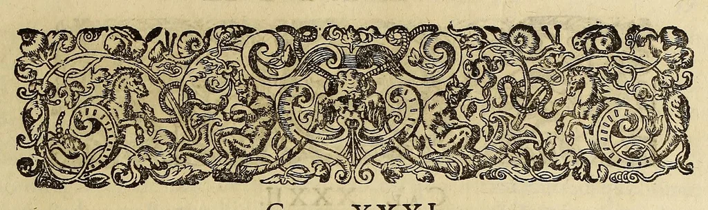 An illustration from Historiae antipodum, siue Novi orbis, qui vulgo Americae, & Indiae Occidentalis nomine vsurpatur, pars tertia, : Complectens admirandam cum ipsius terrae Brasiliae, tum incolarum eius barbarorum & antropophagorum historiam libris tribus descriptam: Quorum I. Primo continetur narratio profectionis Ioannis Stadij Hessi in Brasiliam, qui à barbaris interceptus, nouemque menses inter eos versatus est, II. Diegesis historica naturam coeli solique Brasiliensis, vt & auiam, ferarum, piscium, arborum item caeterorumq[ue] vegetabilium illius terrae experimens. III. Luculientissima descriptio itineris Iohannis Lerij Burgundi, quod in easdem terras suscepit., 1630, leaf 73