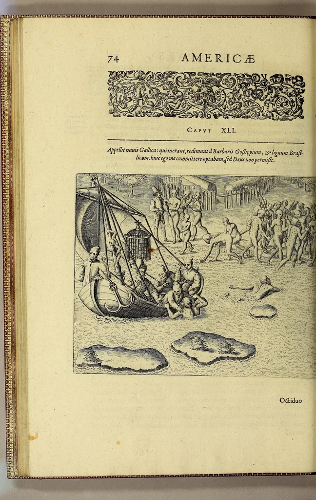 An illustration from Historiae antipodum, siue Novi orbis, qui vulgo Americae, & Indiae Occidentalis nomine vsurpatur, pars tertia, : Complectens admirandam cum ipsius terrae Brasiliae, tum incolarum eius barbarorum & antropophagorum historiam libris tribus descriptam: Quorum I. Primo continetur narratio profectionis Ioannis Stadij Hessi in Brasiliam, qui à barbaris interceptus, nouemque menses inter eos versatus est, II. Diegesis historica naturam coeli solique Brasiliensis, vt & auiam, ferarum, piscium, arborum item caeterorumq[ue] vegetabilium illius terrae experimens. III. Luculientissima descriptio itineris Iohannis Lerij Burgundi, quod in easdem terras suscepit., 1630, leaf 92