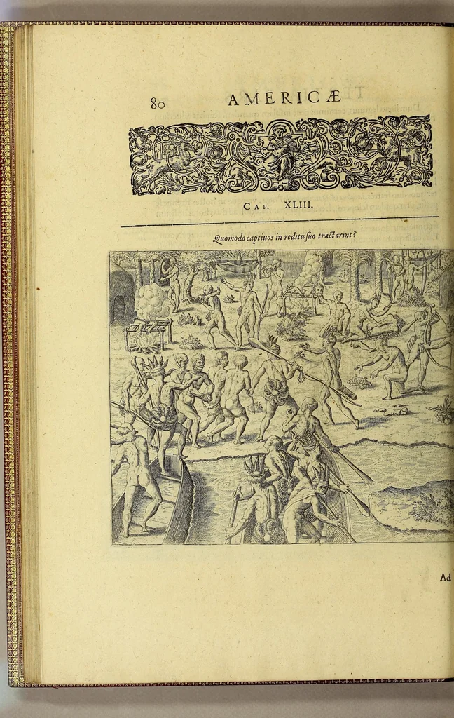 An illustration from Historiae antipodum, siue Novi orbis, qui vulgo Americae, & Indiae Occidentalis nomine vsurpatur, pars tertia, : Complectens admirandam cum ipsius terrae Brasiliae, tum incolarum eius barbarorum & antropophagorum historiam libris tribus descriptam: Quorum I. Primo continetur narratio profectionis Ioannis Stadij Hessi in Brasiliam, qui à barbaris interceptus, nouemque menses inter eos versatus est, II. Diegesis historica naturam coeli solique Brasiliensis, vt & auiam, ferarum, piscium, arborum item caeterorumq[ue] vegetabilium illius terrae experimens. III. Luculientissima descriptio itineris Iohannis Lerij Burgundi, quod in easdem terras suscepit., 1630, leaf 98