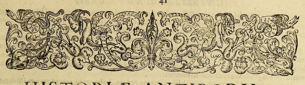 An illustration from Historiae antipodum siue Noui Orbis, qui vulgo Americae et Indiae Occidentalis nomine vsurpatur, pars nona: : continens veram et genvinam descriptionem duarum nauigationum Hollandicarum, quas Batavi diversas orbis partes magno animo, etsi varia fortuna, susceperunt. I. Et primo quidem libro narratur, quo pacto quinq[ue] naues, quae Amsterdamo soluerant. Magellanici freti angustiis superatis in Moluccas insulas pertendere conatae, diuerso euentu vsae fuerint, tribus scopum suum affecutis, duabus reliquis in periculoso illo stricto vi tempestarum variè afflectis, irritoque conamine tandem domum redire compulsis. II. Secundo libro felix & admirabilis Oliuerii van-der-Noort totius orbis periplus percensetur, vbi permulta memoratu dignissima, quae toto illo itinere occurrerunt, verè describuntur. Omnia hactenus confuse nec suo loco edita: nunc verò sublatis innumeris mendiis, interpretum Ablepsia admissis, decenter & ordine accurata:, 1633, leaf 49