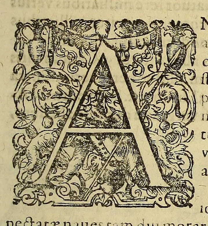 An illustration from Historiae antipodum siue Noui Orbis, qui vulgo Americae et Indiae Occidentalis nomine vsurpatur, pars nona: : continens veram et genvinam descriptionem duarum nauigationum Hollandicarum, quas Batavi diversas orbis partes magno animo, etsi varia fortuna, susceperunt. I. Et primo quidem libro narratur, quo pacto quinq[ue] naues, quae Amsterdamo soluerant. Magellanici freti angustiis superatis in Moluccas insulas pertendere conatae, diuerso euentu vsae fuerint, tribus scopum suum affecutis, duabus reliquis in periculoso illo stricto vi tempestarum variè afflectis, irritoque conamine tandem domum redire compulsis. II. Secundo libro felix & admirabilis Oliuerii van-der-Noort totius orbis periplus percensetur, vbi permulta memoratu dignissima, quae toto illo itinere occurrerunt, verè describuntur. Omnia hactenus confuse nec suo loco edita: nunc verò sublatis innumeris mendiis, interpretum Ablepsia admissis, decenter & ordine accurata:, 1633, leaf 49