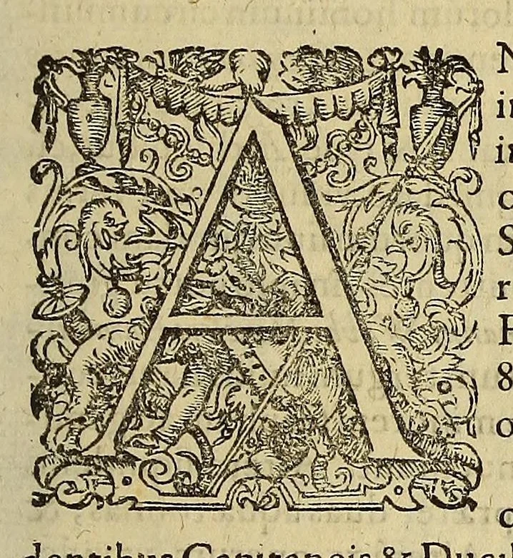 An illustration from Historiae antipodum siue Noui Orbis, qui vulgo Americae et Indiae Occidentalis nomine vsurpatur, pars nona: : continens veram et genvinam descriptionem duarum nauigationum Hollandicarum, quas Batavi diversas orbis partes magno animo, etsi varia fortuna, susceperunt. I. Et primo quidem libro narratur, quo pacto quinq[ue] naues, quae Amsterdamo soluerant. Magellanici freti angustiis superatis in Moluccas insulas pertendere conatae, diuerso euentu vsae fuerint, tribus scopum suum affecutis, duabus reliquis in periculoso illo stricto vi tempestarum variè afflectis, irritoque conamine tandem domum redire compulsis. II. Secundo libro felix & admirabilis Oliuerii van-der-Noort totius orbis periplus percensetur, vbi permulta memoratu dignissima, quae toto illo itinere occurrerunt, verè describuntur. Omnia hactenus confuse nec suo loco edita: nunc verò sublatis innumeris mendiis, interpretum Ablepsia admissis, decenter & ordine accurata:, 1633, leaf 9