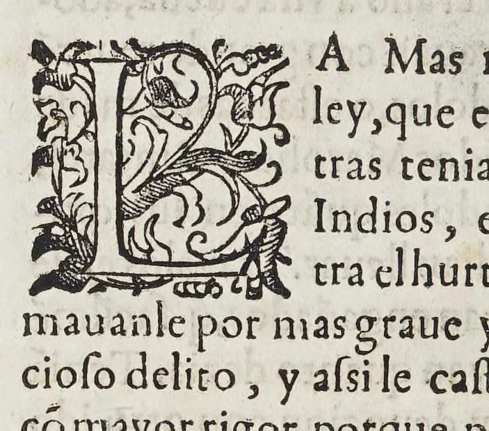 An illustration from Historia eclesiastica de nuestros tiempos, : que es compendio de los excelentes frutos que en ellos el estado eclesiastico y sagradas religiones han hecho y hazen, en la conuersion de idolatras y reducion de hereges. Y de los ilustres martirios de varones apostolicos, que en esta heroicas empressas han padecido., 1611, leaf 28