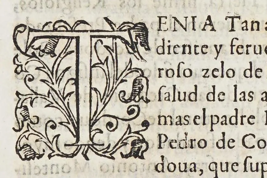 An illustration from Historia eclesiastica de nuestros tiempos, : que es compendio de los excelentes frutos que en ellos el estado eclesiastico y sagradas religiones han hecho y hazen, en la conuersion de idolatras y reducion de hereges. Y de los ilustres martirios de varones apostolicos, que en esta heroicas empressas han padecido., 1611, leaf 35