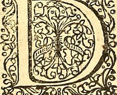 An illustration from Historiae Danicae libri XVI, 1644, leaf 107