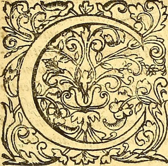 An illustration from Historiae Danicae libri XVI, 1644, leaf 12