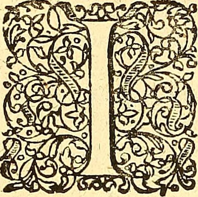 An illustration from Historiae Danicae libri XVI, 1644, leaf 131
