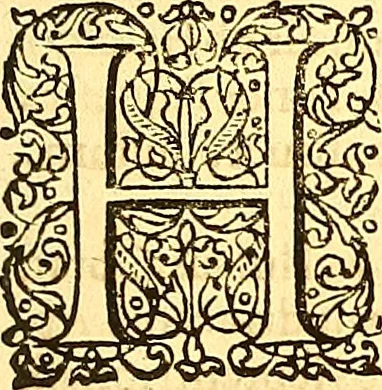 An illustration from Historiae Danicae libri XVI, 1644, leaf 154