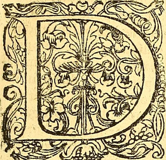 An illustration from Historiae Danicae libri XVI, 1644, leaf 16