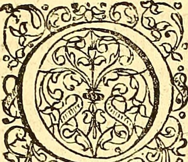 An illustration from Historiae Danicae libri XVI, 1644, leaf 179