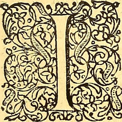 An illustration from Historiae Danicae libri XVI, 1644, leaf 258