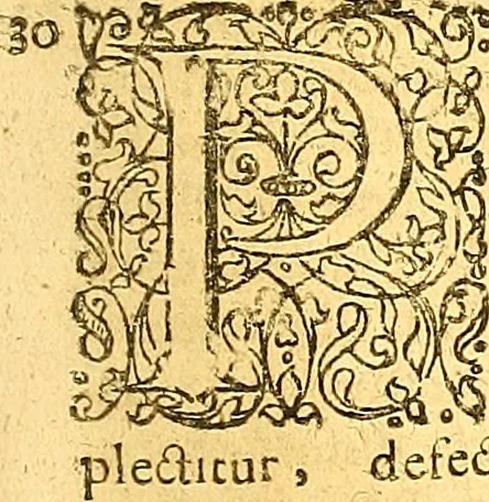 An illustration from Historiae Danicae libri XVI, 1644, leaf 372