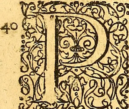 An illustration from Historiae Danicae libri XVI, 1644, leaf 384