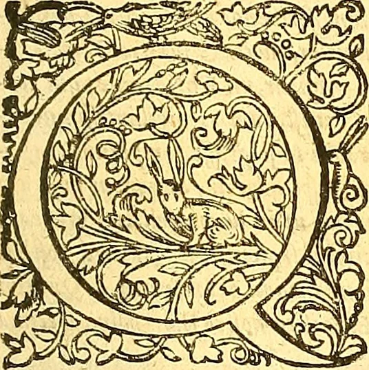 An illustration from Historiae Danicae libri XVI, 1644, leaf 422