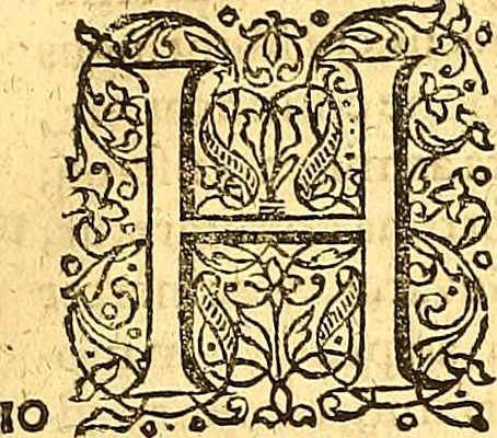 An illustration from Historiae Danicae libri XVI, 1644, leaf 50