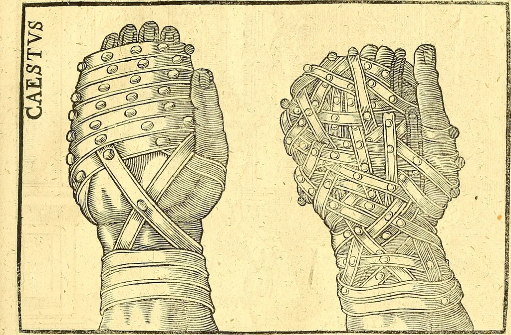 An illustration from Historiae Danicae libri XVI, 1644, leaf 564