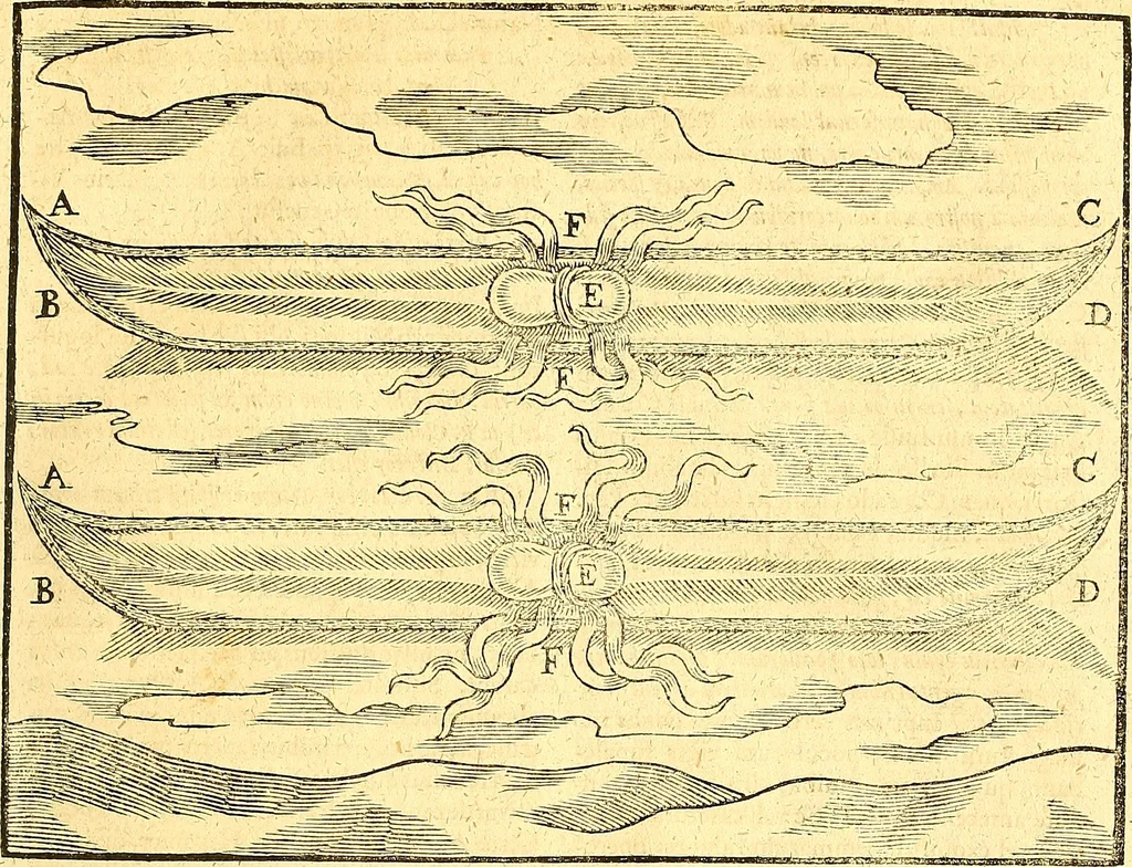An illustration from Historiae Danicae libri XVI, 1644, leaf 606