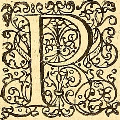 An illustration from Historiae Danicae libri XVI, 1644, leaf 65
