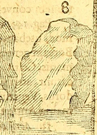 An illustration from Historiae Danicae libri XVI, 1644, leaf 652