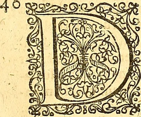 An illustration from Historiae Danicae libri XVI, 1644, leaf 78