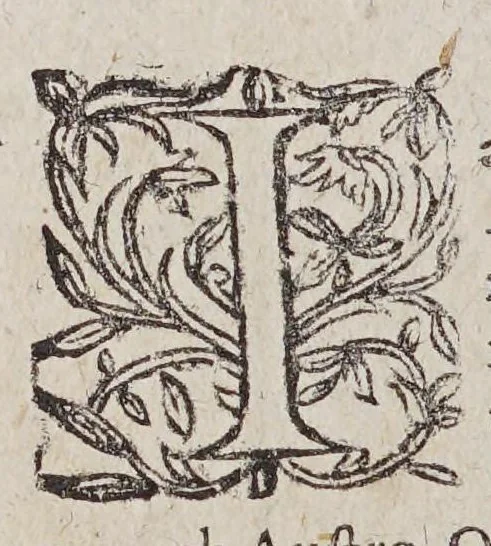 An illustration from Historiae Hieronymi Osorii, Lusitani, Siluensis in Algarbiis episcopi, De rebus; Emmanuelis, Lusitaniae regis ... annis sex, ac viginti, domi forisque gestis, libri duodecim. ... : Item: Io. Matalii Metelli ... in eandem historiam praefatio, et commentarius: de reperta ab Hispanis et Lusitanis, in Occidentis et Orientis Indiam, nauigatione, deq. populorum eius vita, moribus, ac ritibus. ... : Omnia iam recognita & emendata. : Adiectus est; praeter marginis notationes, locupletissimus rerum & verborum index, 1581, leaf 174