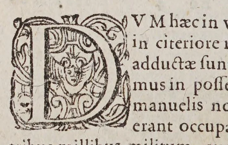 An illustration from Historiae Hieronymi Osorii, Lusitani, Siluensis in Algarbiis episcopi, De rebus; Emmanuelis, Lusitaniae regis ... annis sex, ac viginti, domi forisque gestis, libri duodecim. ... : Item: Io. Matalii Metelli ... in eandem historiam praefatio, et commentarius: de reperta ab Hispanis et Lusitanis, in Occidentis et Orientis Indiam, nauigatione, deq. populorum eius vita, moribus, ac ritibus. ... : Omnia iam recognita & emendata. : Adiectus est; praeter marginis notationes, locupletissimus rerum & verborum index, 1581, leaf 548