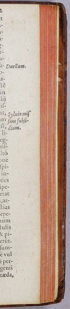 An illustration from Historiae Hieronymi Osorii, Lusitani, Siluensis in Algarbiis episcopi, De rebus; Emmanuelis, Lusitaniae regis ... annis sex, ac viginti, domi forisque gestis, libri duodecim. ... : Item: Io. Matalii Metelli ... in eandem historiam praefatio, et commentarius: de reperta ab Hispanis et Lusitanis, in Occidentis et Orientis Indiam, nauigatione, deq. populorum eius vita, moribus, ac ritibus. ... : Omnia iam recognita & emendata. : Adiectus est; praeter marginis notationes, locupletissimus rerum & verborum index, 1581, leaf 771
