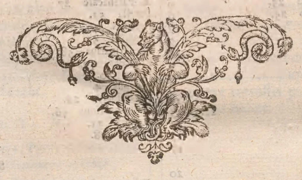 An illustration from Historiae naturalis de exanguibus aquaticis libri IV : cum figuris Æneis/ Johannes Jonstonus, 1665, leaf 64