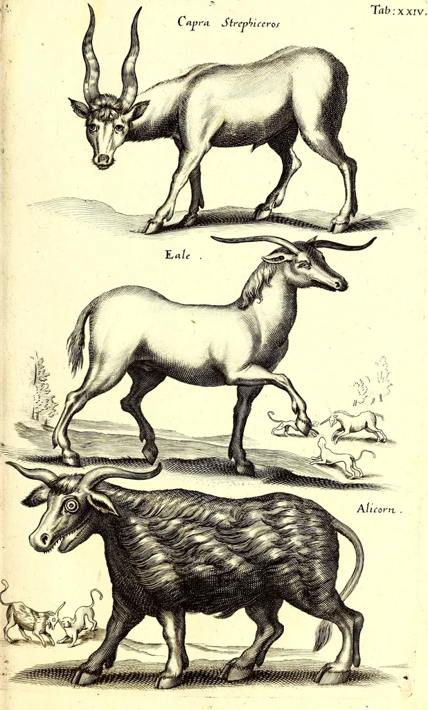 An illustration from Historiae naturalis de quadrupetibus libri : cum aeneis figuris; [Historiae naturalis de serpentibus libri II ; Historiae naturalis de insectis libri III ; Historiae naturalis de exanguibus aquaticis libri IV ; Historiae naturalis de piscibus et cetis libri V ; Historiae naturalis de avibus libri VI], 1650, leaf 144