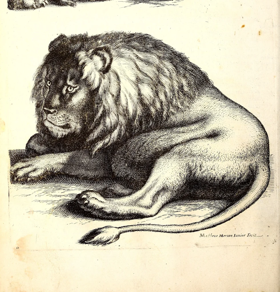 An illustration from Historiae naturalis de quadrupetibus libri : cum aeneis figuris; [Historiae naturalis de serpentibus libri II ; Historiae naturalis de insectis libri III ; Historiae naturalis de exanguibus aquaticis libri IV ; Historiae naturalis de piscibus et cetis libri V ; Historiae naturalis de avibus libri VI], 1650, leaf 213