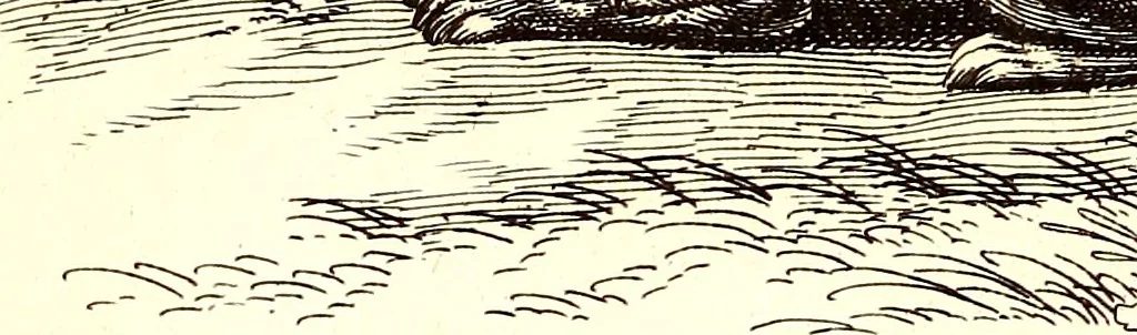 An illustration from Historiae naturalis de quadrupetibus libri : cum aeneis figuris; [Historiae naturalis de serpentibus libri II ; Historiae naturalis de insectis libri III ; Historiae naturalis de exanguibus aquaticis libri IV ; Historiae naturalis de piscibus et cetis libri V ; Historiae naturalis de avibus libri VI], 1650, leaf 291