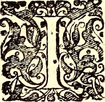 An illustration from Historiae naturalis de quadrupetibus libri : cum aeneis figuris; [Historiae naturalis de serpentibus libri II ; Historiae naturalis de insectis libri III ; Historiae naturalis de exanguibus aquaticis libri IV ; Historiae naturalis de piscibus et cetis libri V ; Historiae naturalis de avibus libri VI], 1650, leaf 371