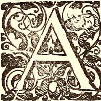 An illustration from Historiae naturalis de quadrupetibus libri : cum aeneis figuris; [Historiae naturalis de serpentibus libri II ; Historiae naturalis de insectis libri III ; Historiae naturalis de exanguibus aquaticis libri IV ; Historiae naturalis de piscibus et cetis libri V ; Historiae naturalis de avibus libri VI], 1650, leaf 103