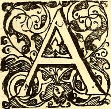An illustration from Historiae naturalis de quadrupetibus libri : cum aeneis figuris; [Historiae naturalis de serpentibus libri II ; Historiae naturalis de insectis libri III ; Historiae naturalis de exanguibus aquaticis libri IV ; Historiae naturalis de piscibus et cetis libri V ; Historiae naturalis de avibus libri VI], 1650, leaf 14