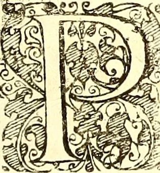 An illustration from Historiae naturalis de quadrupetibus libri : cum aeneis figuris; [Historiae naturalis de serpentibus libri II ; Historiae naturalis de insectis libri III ; Historiae naturalis de exanguibus aquaticis libri IV ; Historiae naturalis de piscibus et cetis libri V ; Historiae naturalis de avibus libri VI], 1650, leaf 282