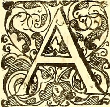 An illustration from Historiae naturalis de quadrupetibus libri : cum aeneis figuris; [Historiae naturalis de serpentibus libri II ; Historiae naturalis de insectis libri III ; Historiae naturalis de exanguibus aquaticis libri IV ; Historiae naturalis de piscibus et cetis libri V ; Historiae naturalis de avibus libri VI], 1650, leaf 346